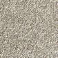 Shaw Find Your Comfort NS II Carpet in Back Patio, , large