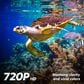 Element 24" 720P HD SMART XUMO TV, , large