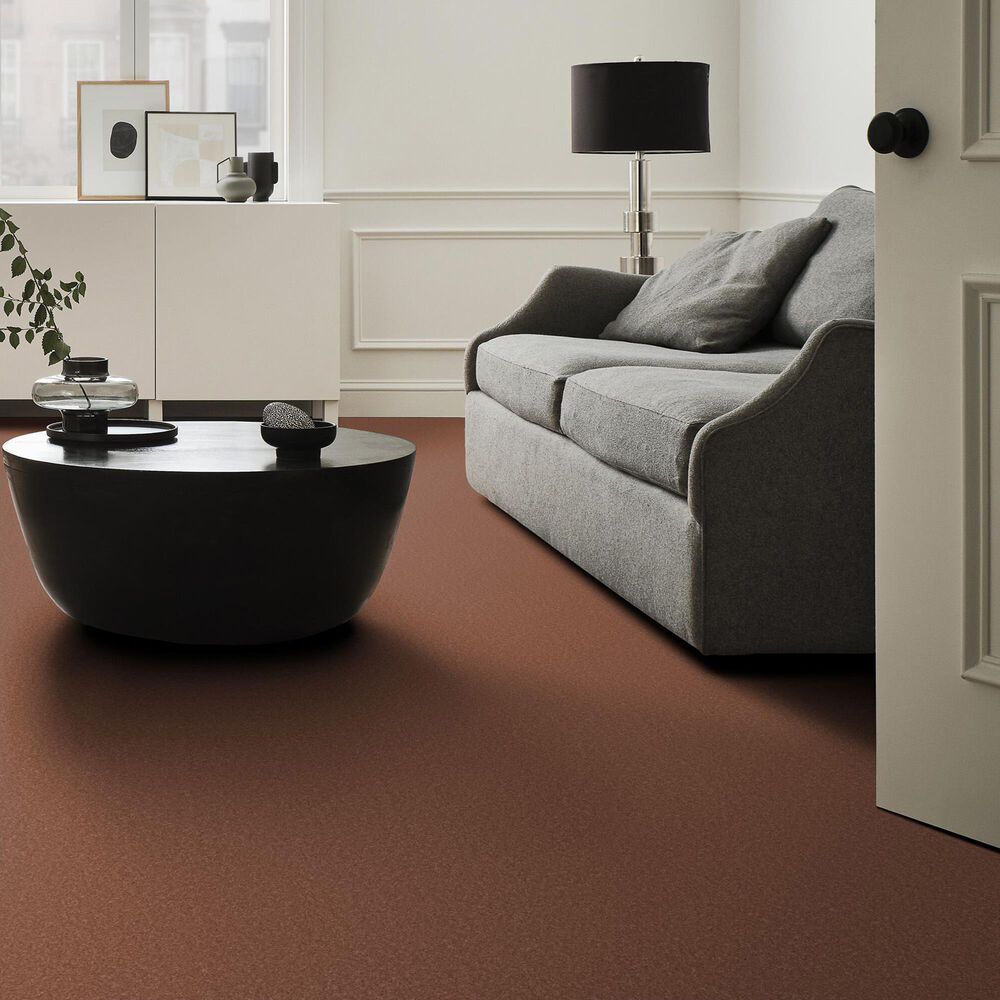 Anderson Tuftex Enduring Charm Carpet in Clay, , large