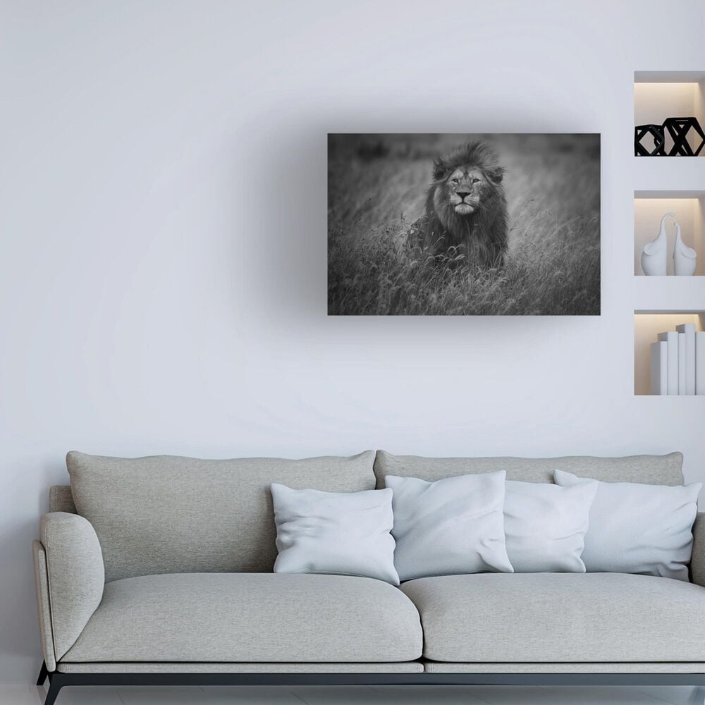Timberlake Mohammed Alnaser &#39;Lion King&#39; 12&quot; x 19&quot; Canvas Art in Grey/Black, , large