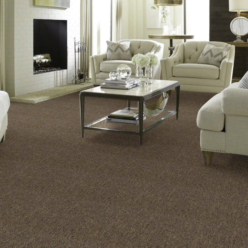 Shaw Capital III 24&quot; x 24&quot; Carpet Tile in Election, , large