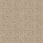 Anderson Tuftex Vignette Carpet in Loft Light, , large