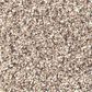 Shaw Foundations Take The Floor Accent I Carpet in Everest, , large