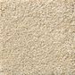 Shaw Your Comfort I Carpet in Sun Kissed, , large