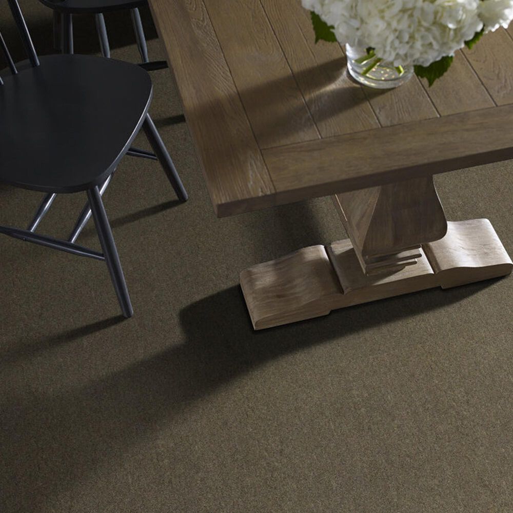 Shaw Counterpart 24&quot; x 24&quot; Carpet Tile in Spitting Image, , large