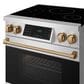 Thor Kitchen Gordon Ramsay 30" Induction Range Color Kit in Bronze, , large