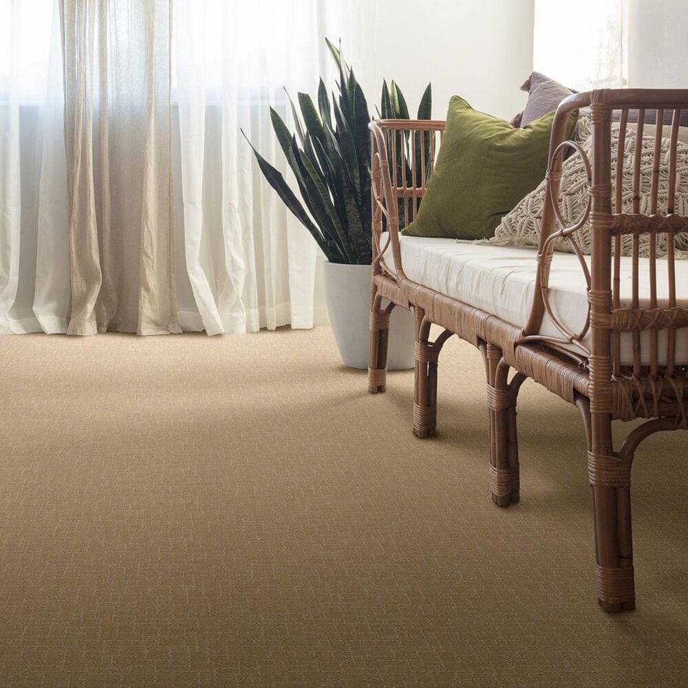 Anderson Tuftex New Tricks Carpet in Monterey, , large
