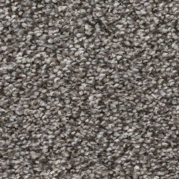 Shaw Truspirit II Carpet in Quarry, , large