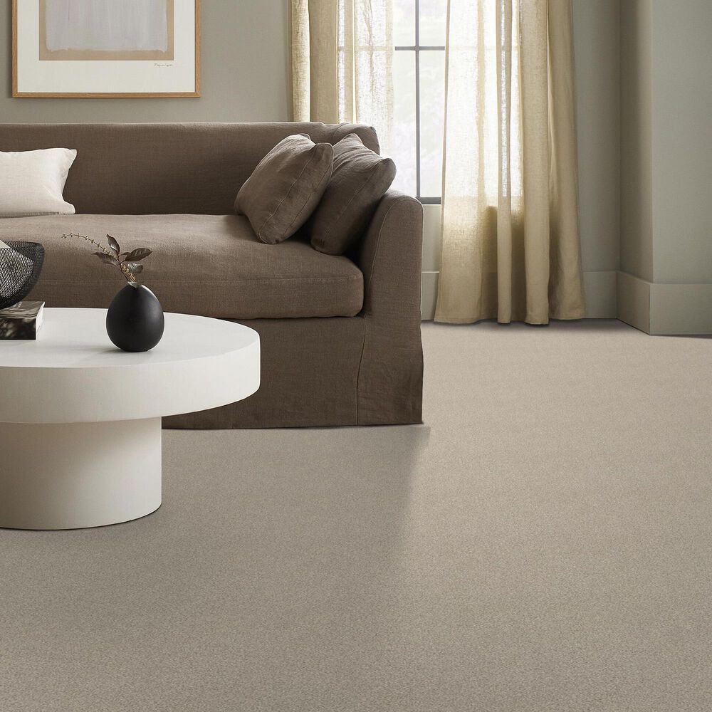 Shaw Tonal Comfort I Carpet in My Haven, , large