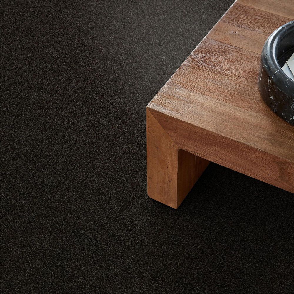 Shaw Making The Rules III Carpet in Black Rich Earth, , large