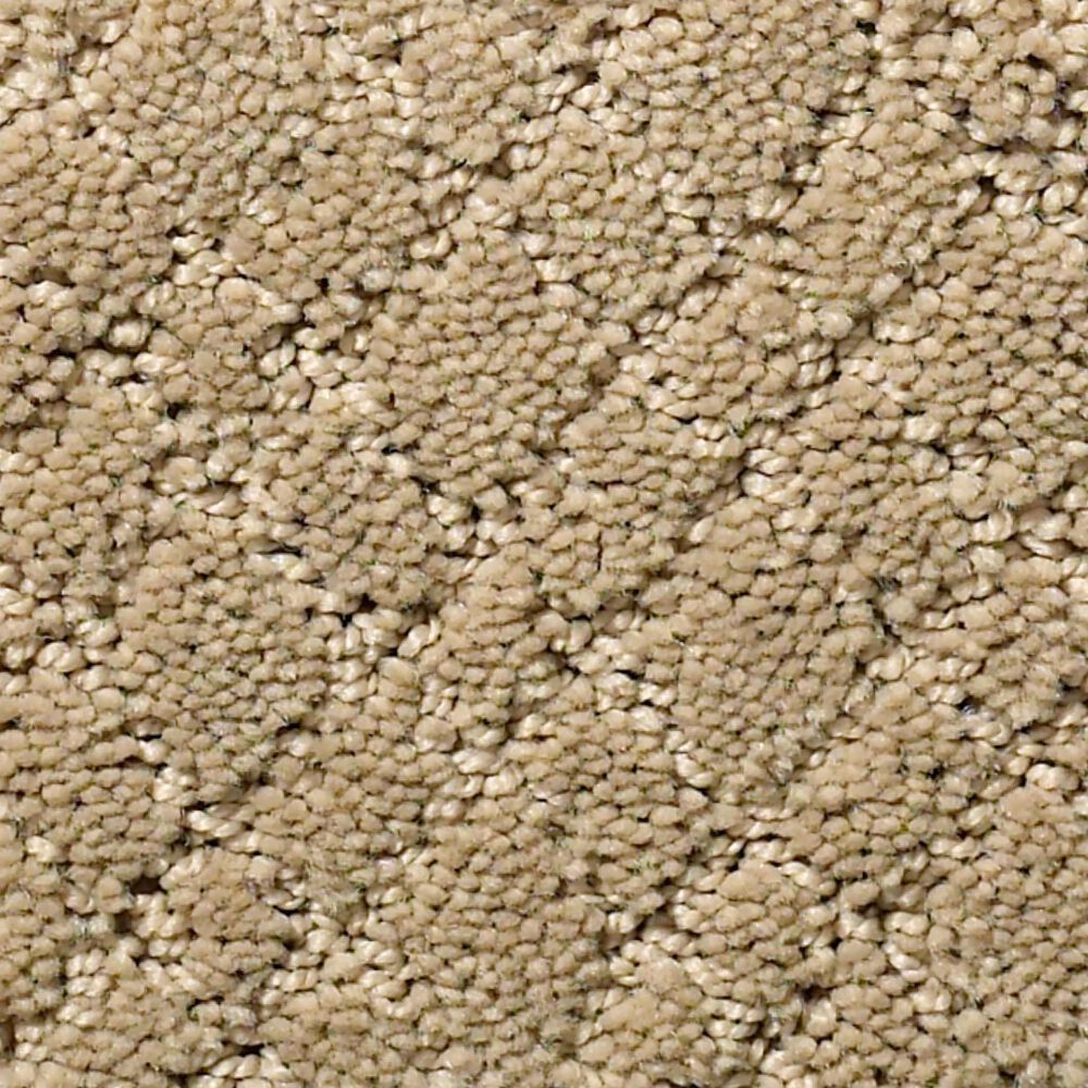 Anderson Tuftex Recital Carpet in Coronado, , large
