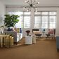 Shaw Acadia Park Carpet in Saddle, , large