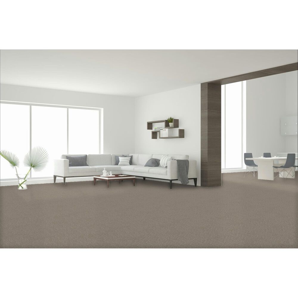 Dream Weaver Cape Cod Carpet in Iron Frost, , large