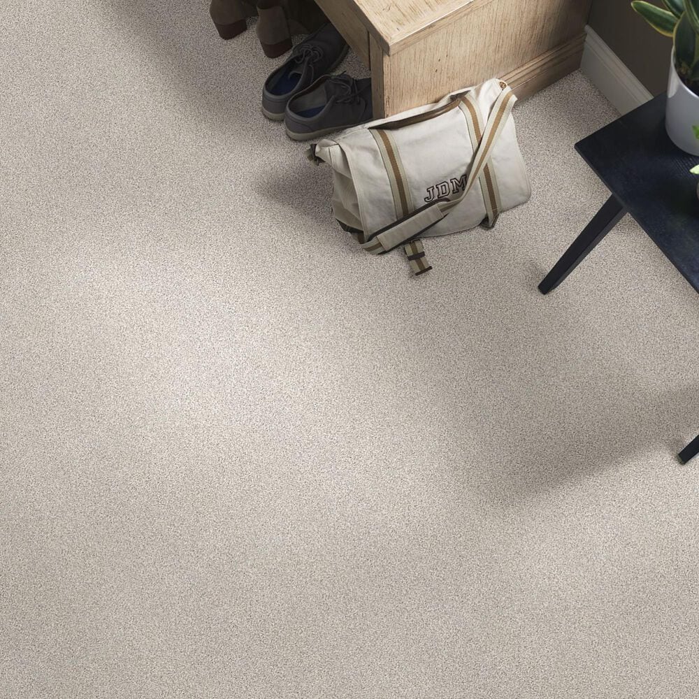 Shaw Find Your Comfort TT I Carpet in Chill in The Air, , large