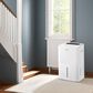 Amana 50-Pint Dehumidifier with Pump in White, , large