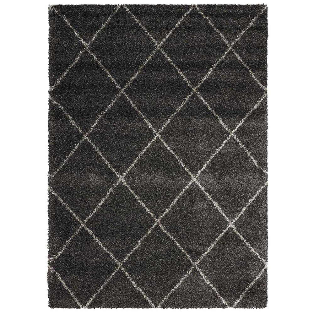 Nourison Brisbane BRI03 9" x 12" Charcoal Area Rug, , large