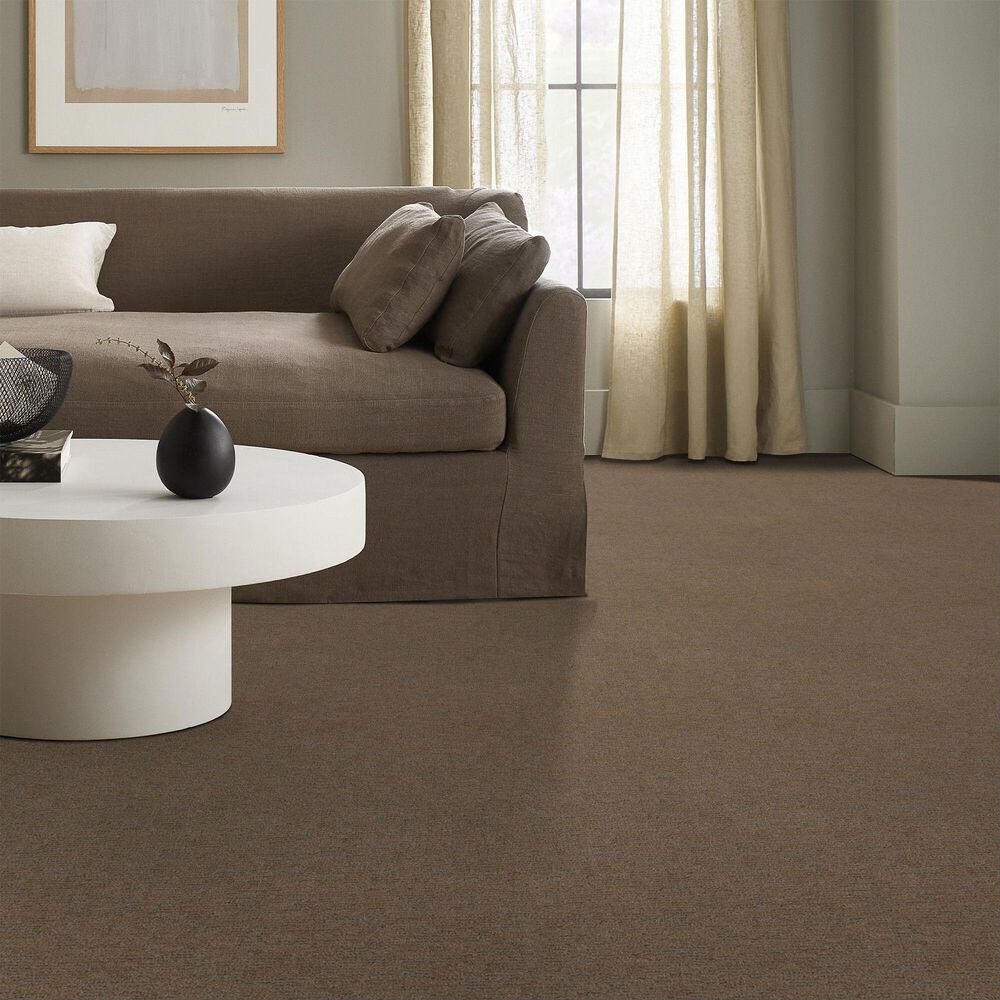 Anderson Tuftex Sneak Peek Carpet in Leather Work, , large