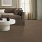 Anderson Tuftex Sneak Peek Carpet in Leather Work, , large