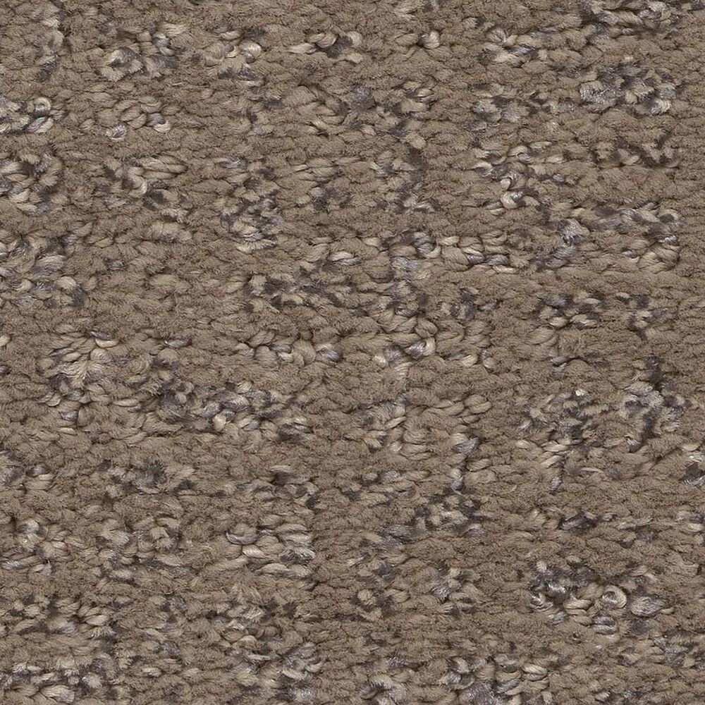 Anderson Tuftex Caboodle Carpet in Sable, , large
