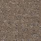 Anderson Tuftex Caboodle Carpet in Sable, , large