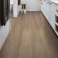 Shaw Infinite SPC Barley Field 7" x 48" Luxury Vinyl Plank, , large