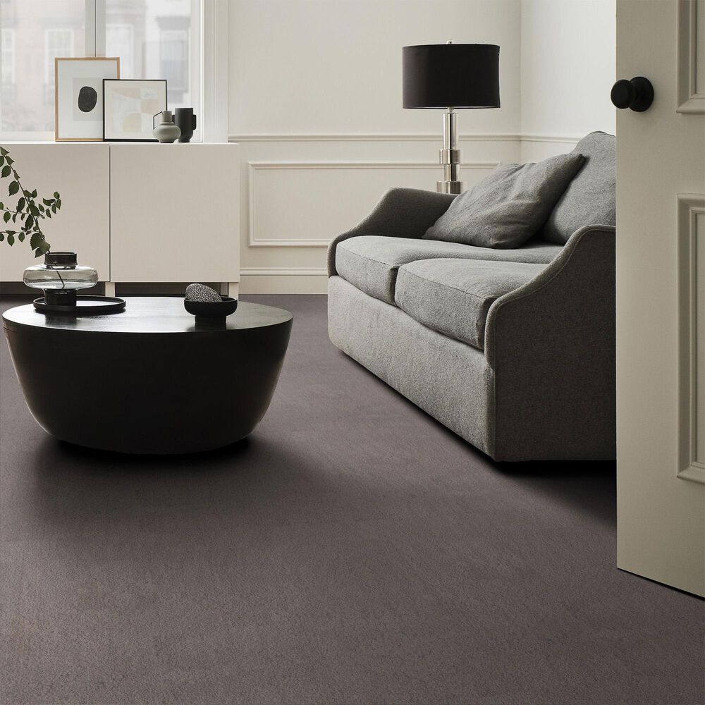 Anderson Tuftex Luxe Feel II Carpet in Pacific, , large