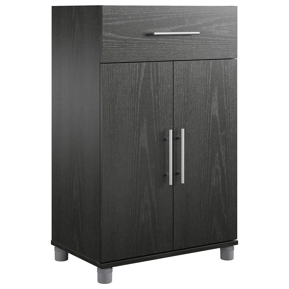 DHP Elmsworth 2-Door Storage Cabinet in Black Oak, , large