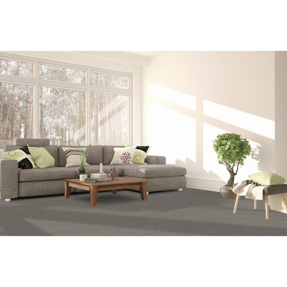 Dream Weaver Beach Club III Carpet in Garden Hedge, , large