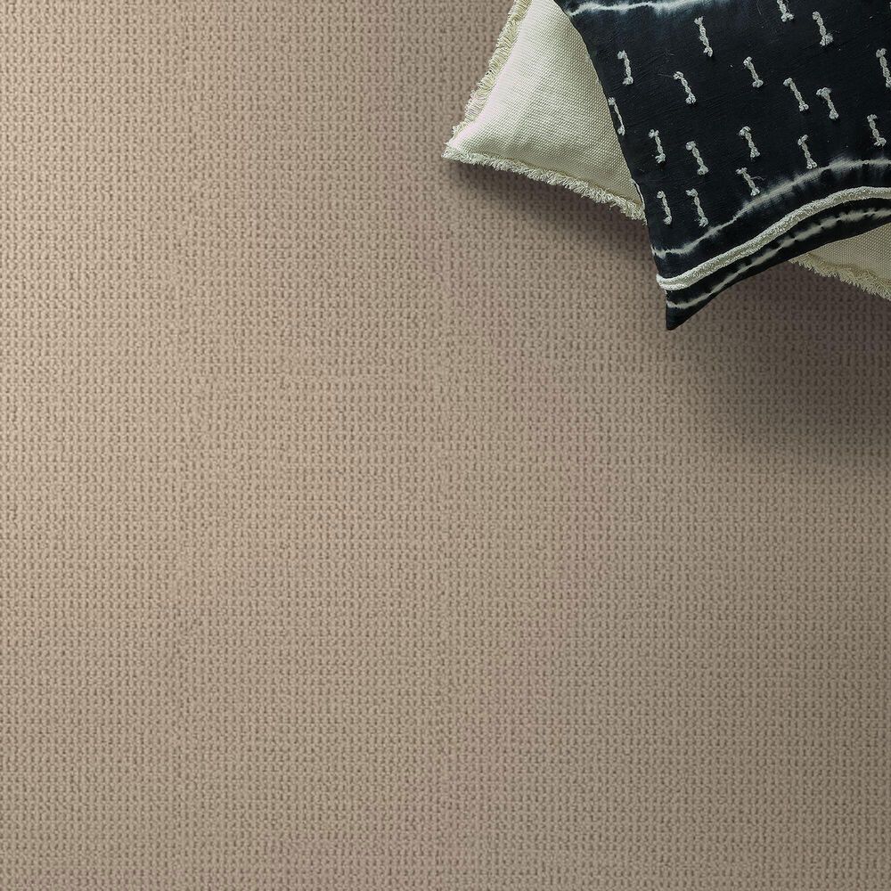 Anderson Tuftex Arden Park Carpet in Parchment, , large