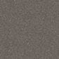 Shaw Yes You Can I Carpet in Marble, , large