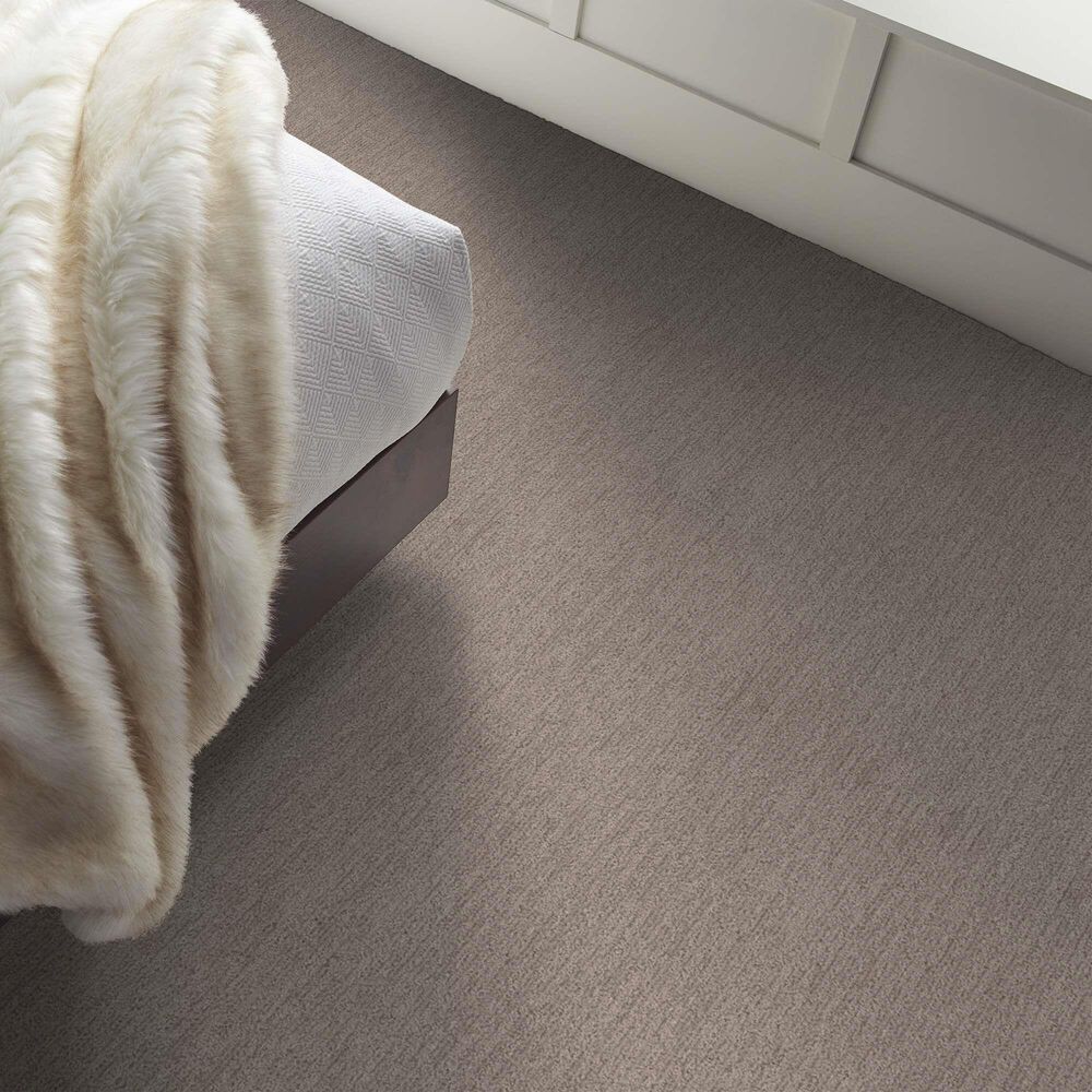 Shaw Easy Fit Carpet in Mesa, , large