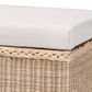 Baxton Studio Barid Rectangle Storage Bench in Natural, , large