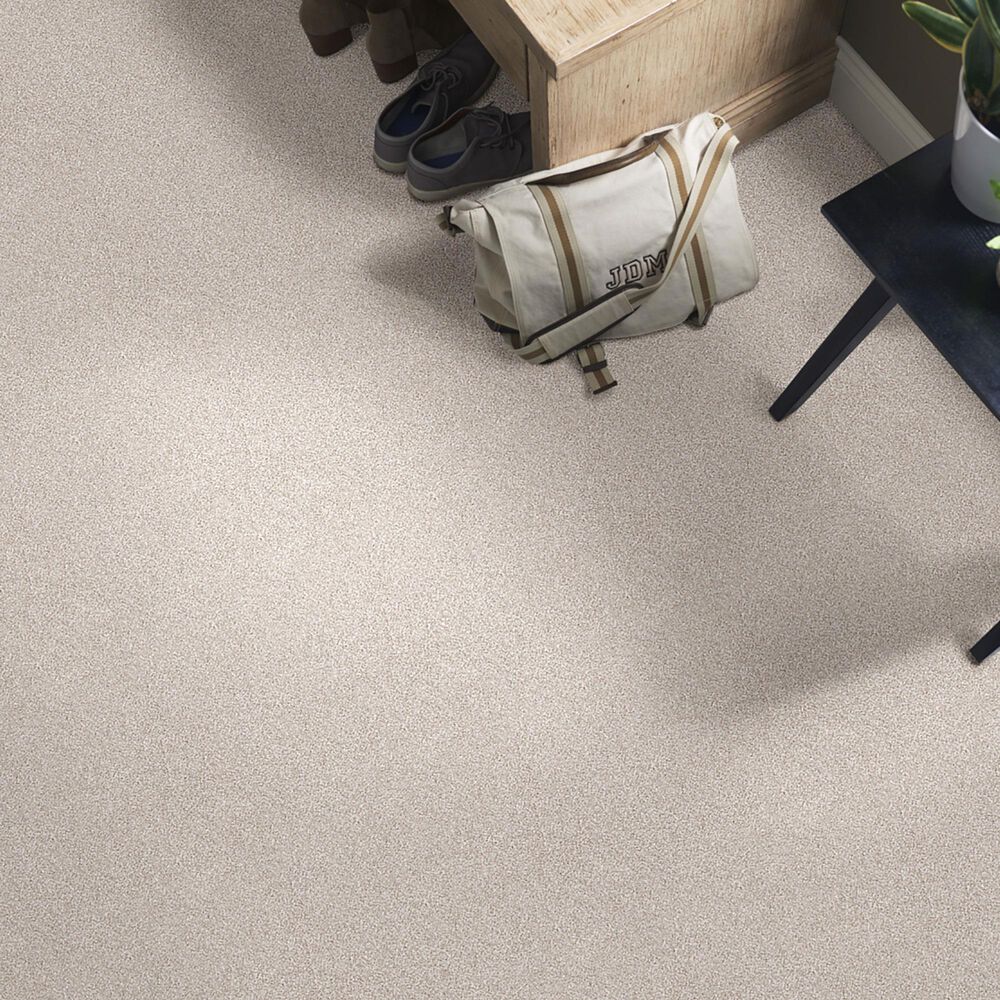 Shaw Just Right II Carpet in Desert Light, , large