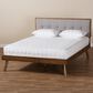 Baxton Studio Alke King Platform Bed with Light Grey Fabric in Walnut Brown, , large
