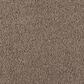 Karastan Classic Comfort Carpet in Urbane, , large