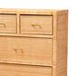 Baxton Studio Vaere 4-Drawer Storage Cabinet in Natural Brown, , large