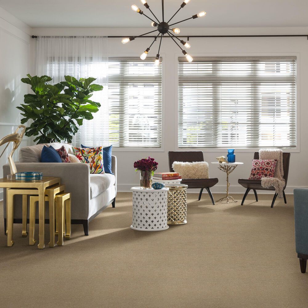 Anderson Tuftex Contour Carpet in Oak Ridge, , large