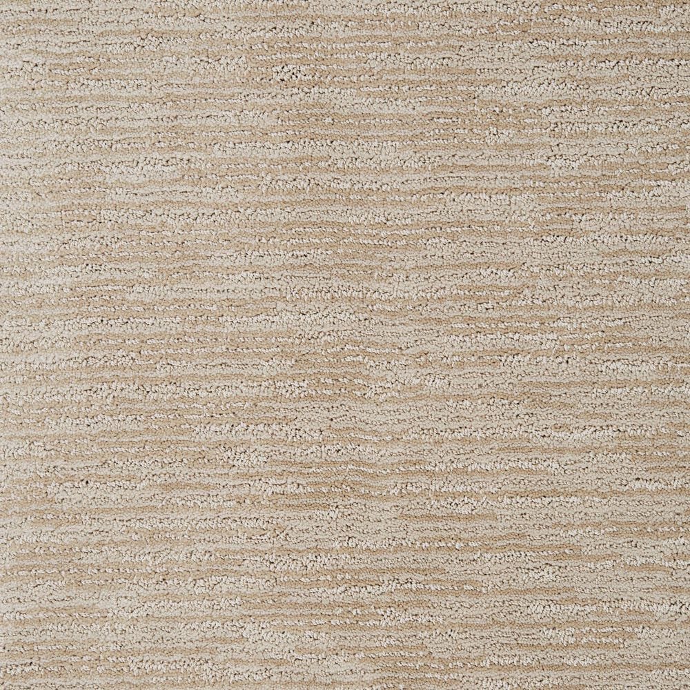 Dixie Home Summer Haven Carpet in Sand Stone, , large