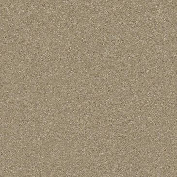 Shaw Basic Rules Carpet in Khaki, , large