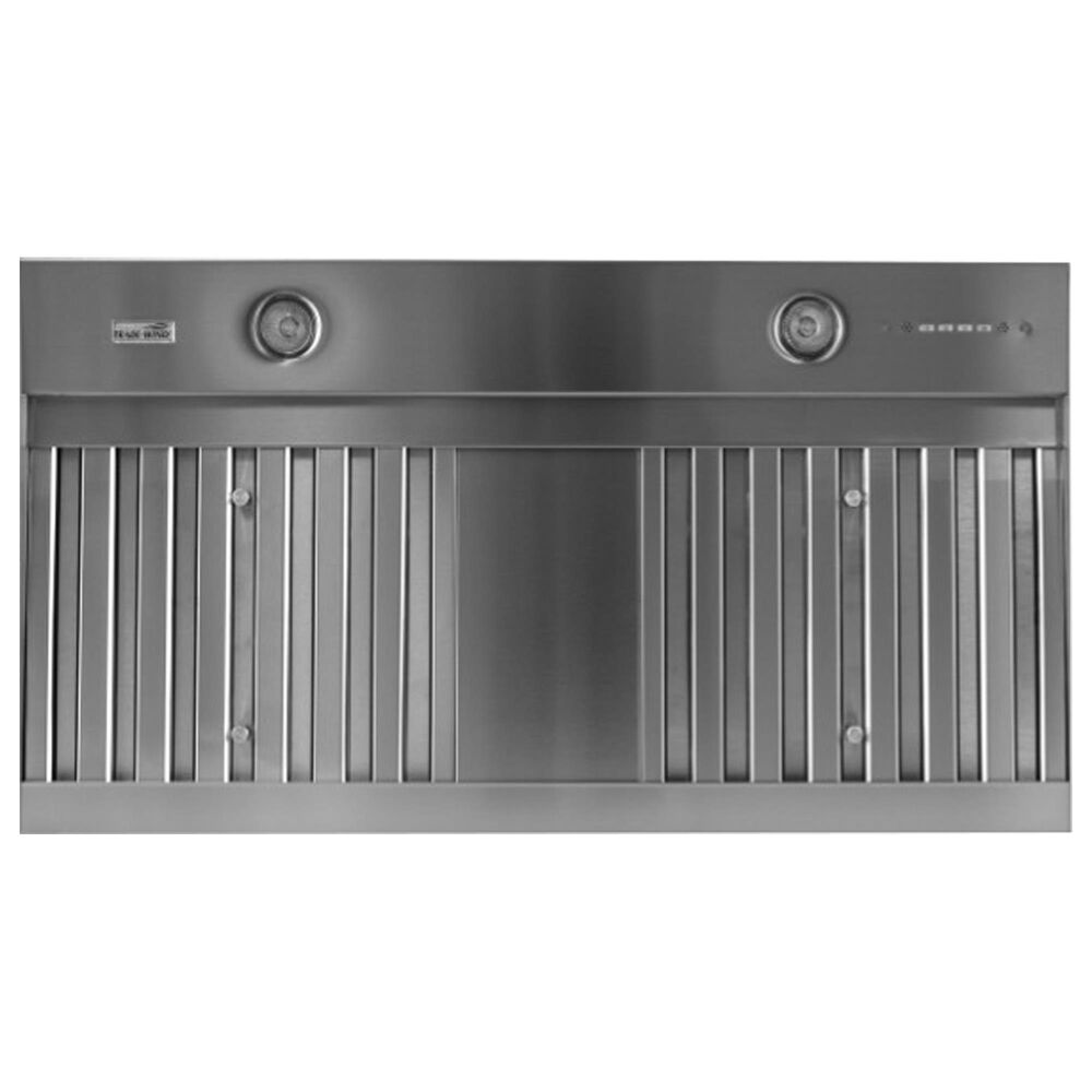 Trade-Winds Hoods 48" Hood Insert in Stainless Steel, , large
