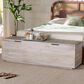 Baxton Studio Alvaro Storage Trunk with Hinged Lid in White Wash, , large
