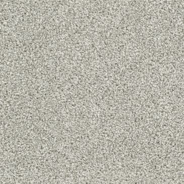 Dixie Home Main Force Carpet in Quartz, , large