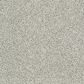 Dixie Home Main Force Carpet in Quartz, , large