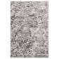 Safavieh Skyler SKY186K 3" x 5" Gray and Ivory Area Rug, , large