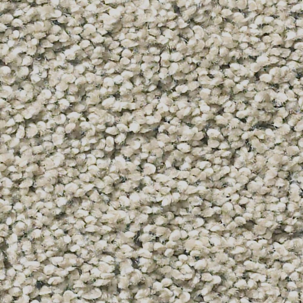 Shaw Anderson Acadia Park Carpet in Shadow, , large