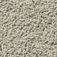Shaw Anderson Acadia Park Carpet in Shadow, , large