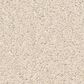 Anderson Tuftex Elegant Beauty Carpet in Angora, , large