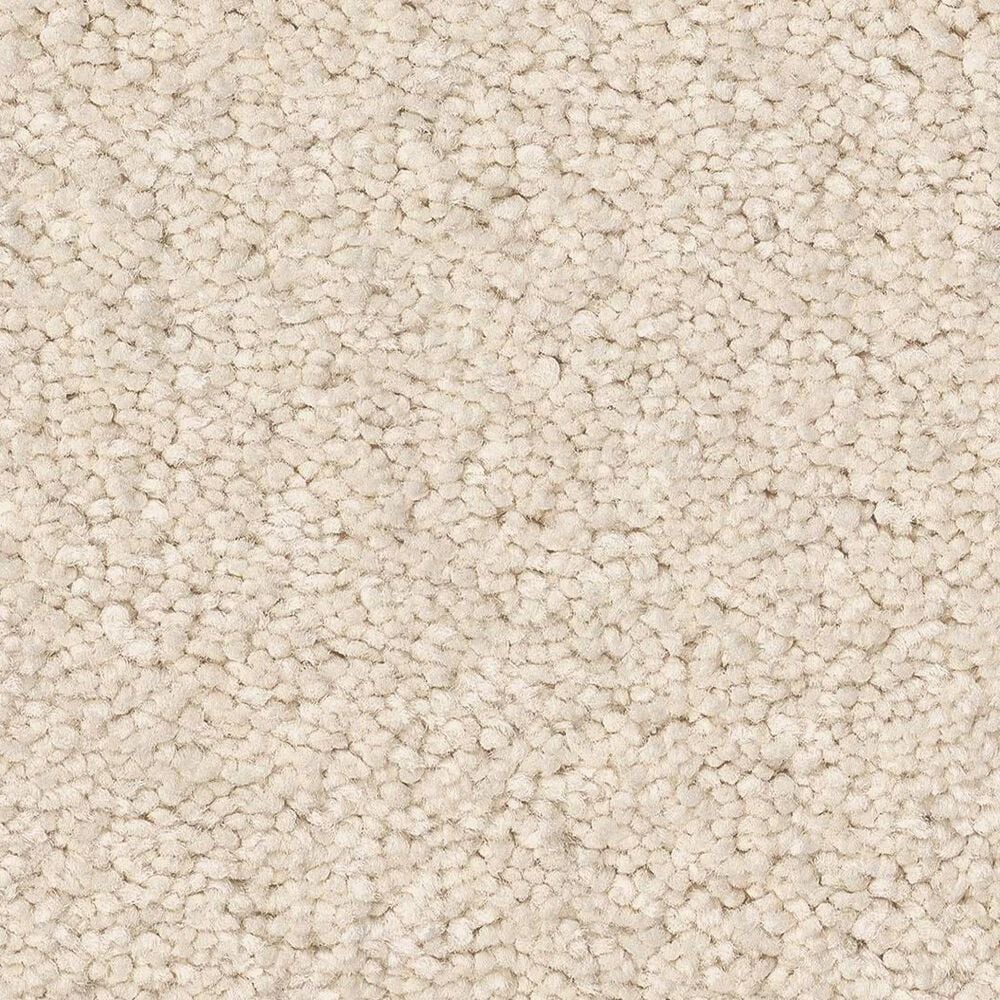 Anderson Tuftex Elegant Beauty Carpet in Angora, , large