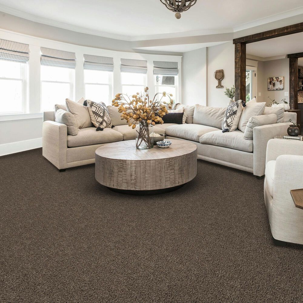 Karastan Classic Comfort Carpet in Regal, , large