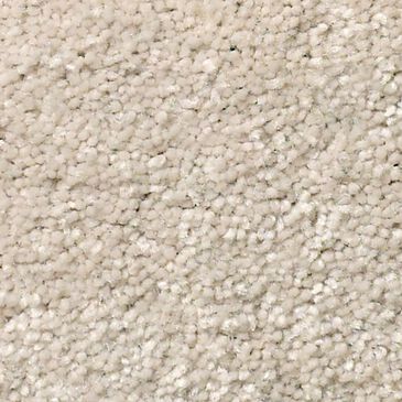 Shaw Well Grounded I 12" Carpet in Bleached, , large